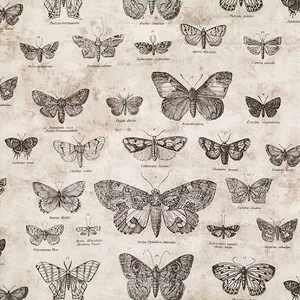 Butterflies- Foundations Tim Holtz