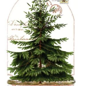 Classic Christmas Botanical - Panel