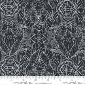 Nocturnal Night Hidden Foxes