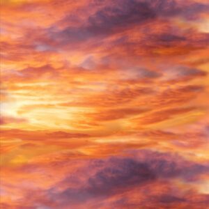 AFLSH 2026 Landscapes Multi-Pre-Order 3-01-2025