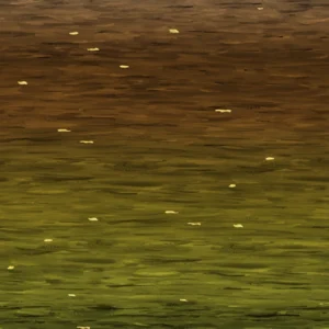 Moss Watercolor Ombre 108"