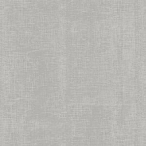 Light Grey Canvas Texture