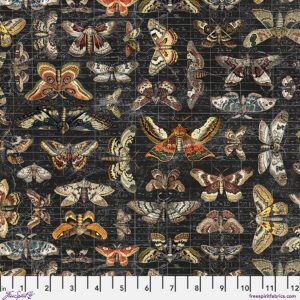 Halloween Moth Study CC-Tim Holtz