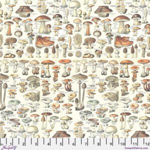 Orange Toadstools-Tim Holtz