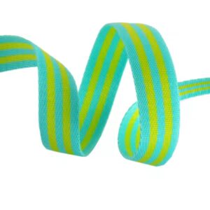 Lime Tula Pink Webbing 1"